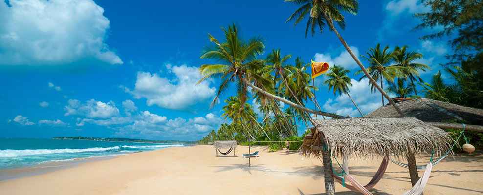 Last Minute Tour Sri Lanka